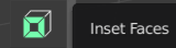 Logo Inset Face