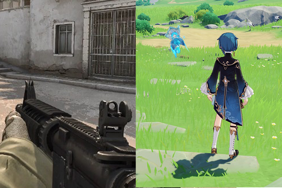 FPS vs TPS Game