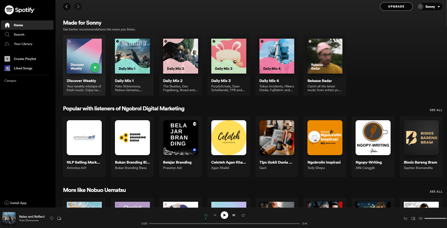 Screenshot Spotify